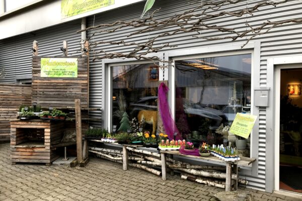 Blumenwiese%20Inh.%20Kerstin%20Sharp Galerie Foto