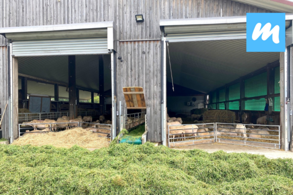 Hofgut%20Kapellenhof%20I%20Hofcaf%C3%A9%20I%20Landwirtschaft%20I%20Bioschafsk%C3%A4serei Galerie Foto