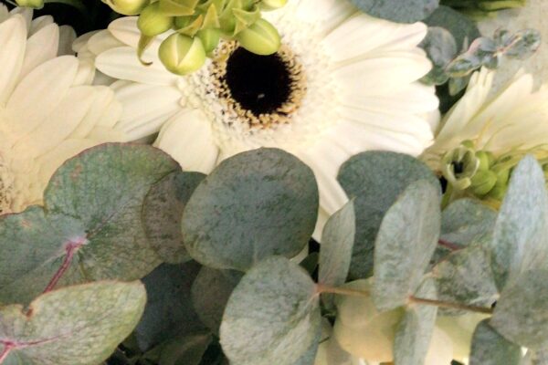 Blumenwiese%20Inh.%20Kerstin%20Sharp Galerie Foto