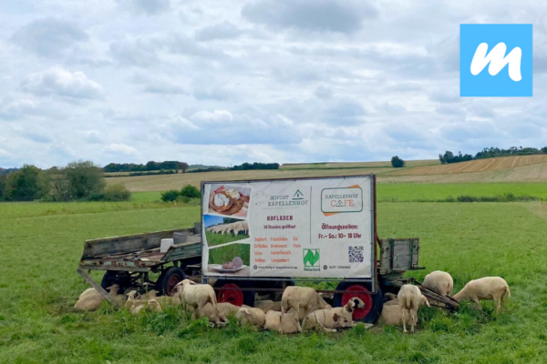 Hofgut%20Kapellenhof%20I%20Hofcaf%C3%A9%20I%20Landwirtschaft%20I%20Bioschafsk%C3%A4serei Galerie Foto